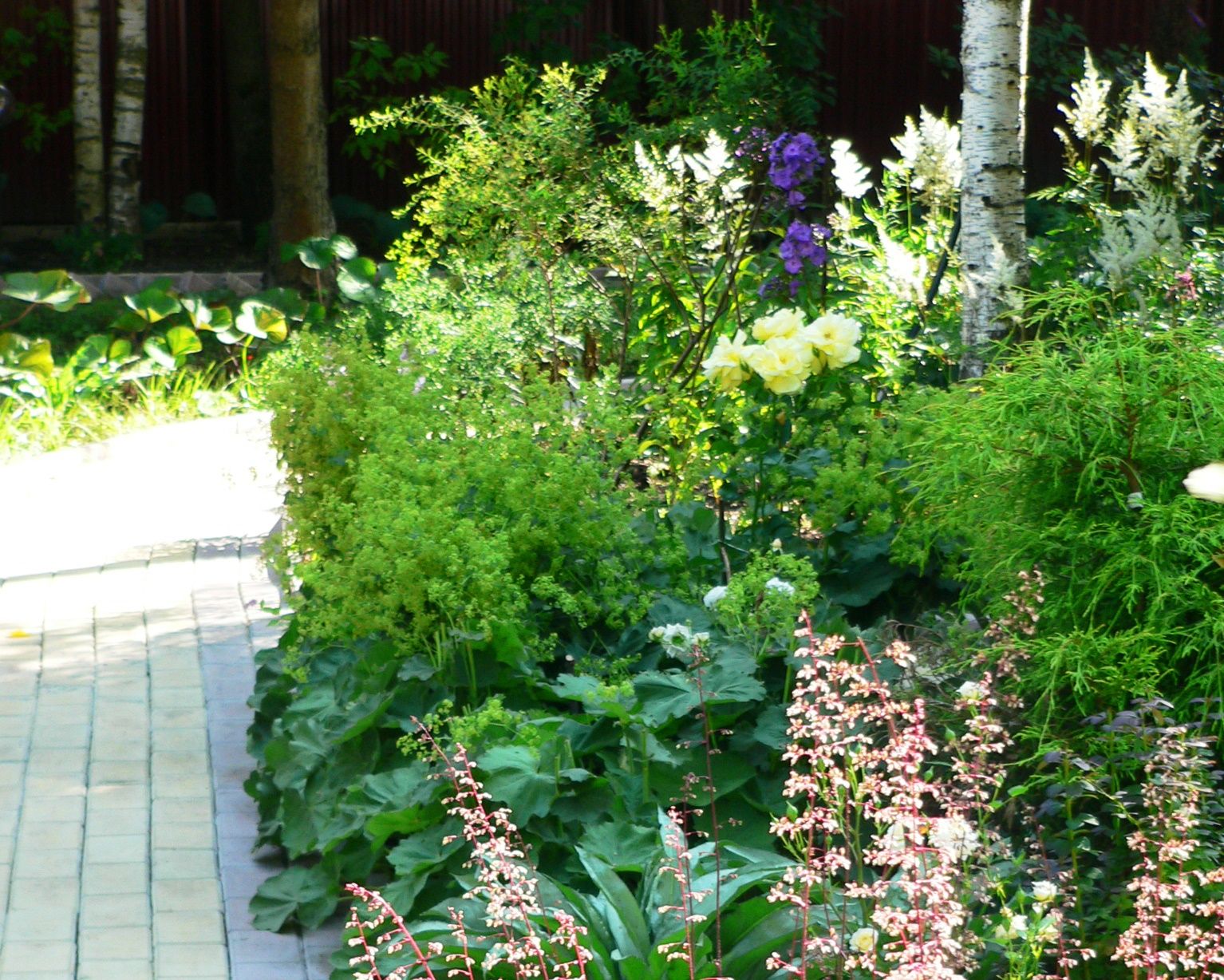 Проект Дачная Поляна