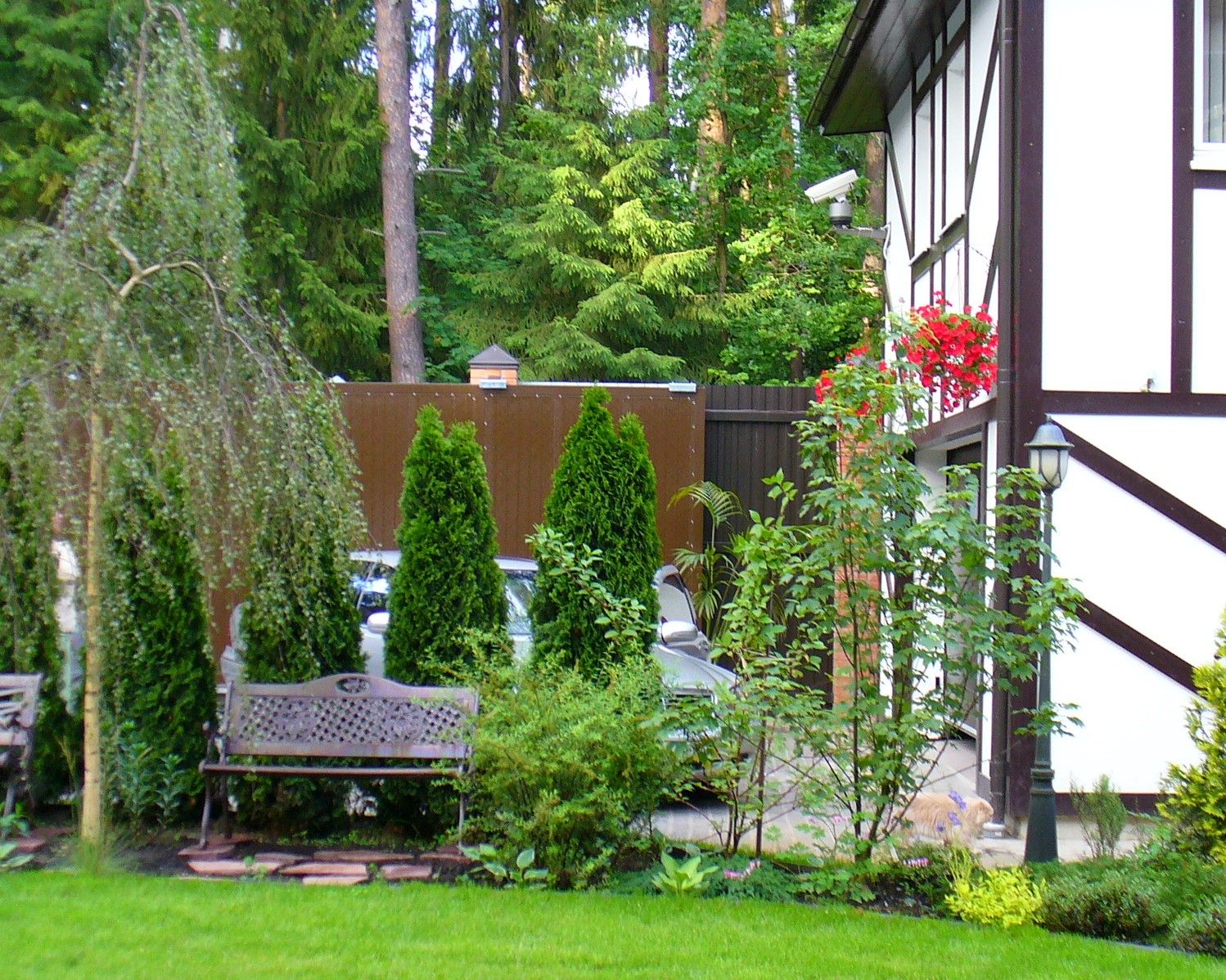 Проект Жуковка